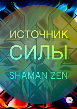 Shaman ZEN Источник Силы обложка книги