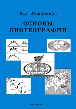 Вячеслав Мордкович Основы биогеографии обложка книги