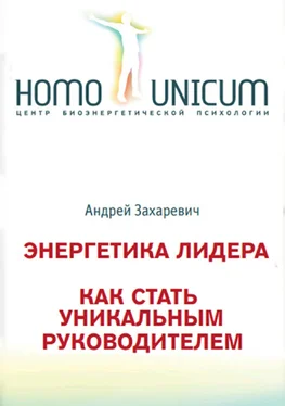 Андрей Захаревич Энергетика лидера. Как стать уникальным руководителем