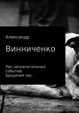 Александр Винниченко Лес незначительных событий. Бродячий пес обложка книги