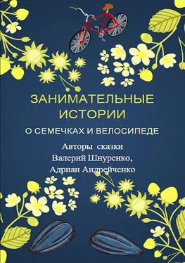 Валерий Шнуренко Занимательные истории о семечках и велосипеде обложка книги