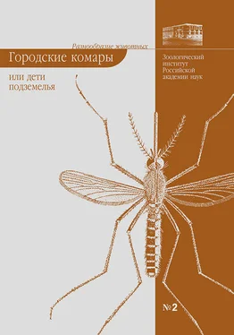 Елена Виноградова Городские комары, или «Дети подземелья» обложка книги