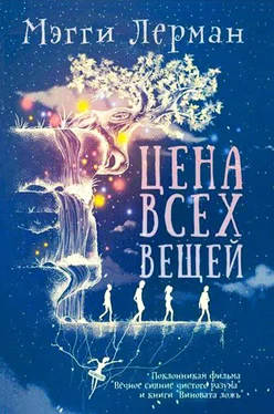 Мэгги Лерман Цена всех вещей обложка книги