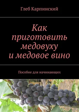 Глеб Карпинский Как приготовить медовуху и медовое вино. Пособие для начинающих обложка книги