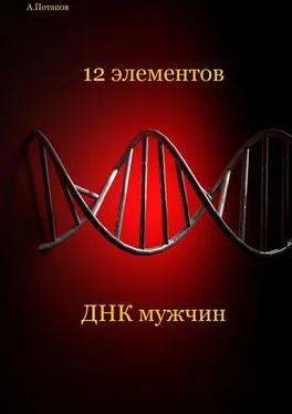 Андрей Потапов 12 элементов ДНК мужчин. Об этом надо знать каждой женщине обложка книги