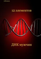 Андрей Потапов - 12 элементов ДНК мужчин. Об этом надо знать каждой женщине