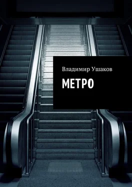 Владимир Ушаков Метро обложка книги