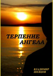 Владимир Шевцов - Терпение ангела