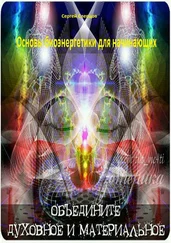 Сергей Слепцов - Основы биоэнергетики для начинающих
