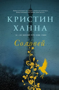 Кристин Ханна Соловей обложка книги