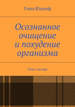 Гоша Юджиф Осознанное очищение и похудение организма. Опыт автора обложка книги