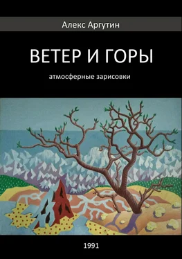 Алекс Аргутин Ветер и горы обложка книги