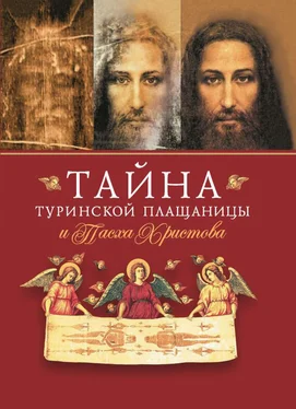 архимандрит Наум (Байбородин) Тайна Туринской Плащаницы и Пасха Христова обложка книги