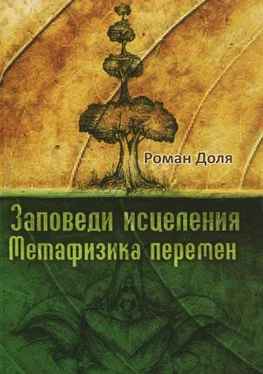 Роман Доля Заповеди исцеления обложка книги