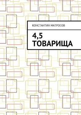 Константин Матросов 4,5 товарища обложка книги