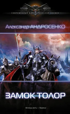 Александр Андросенко Замок Толор обложка книги