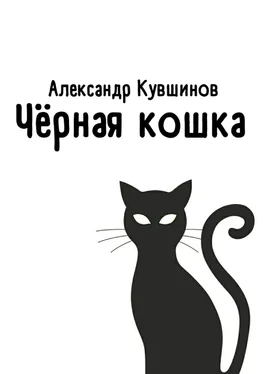 Александр Кувшинов Чёрная кошка обложка книги