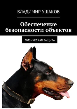 Владимир Ушаков Обеспечение безопасности объектов. Физическая защита обложка книги