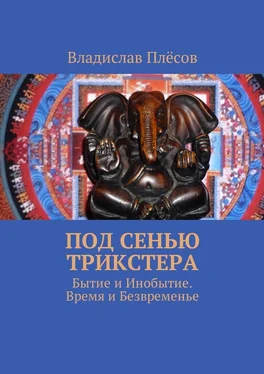 Владислав Плёсов Под сенью трикстера. Бытие и Инобытие. Время и Безвременье обложка книги