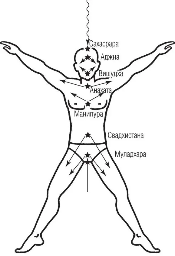 Чакры стремительно перераспределяют энергию Вселенной по телу человека Чакры - фото 17