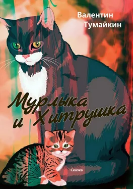 Валентин Тумайкин Мурлыка и Хитрушка обложка книги