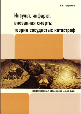 Евгений Широков Инсульт, инфаркт, внезапная смерть. Теория сосудистых катастроф обложка книги