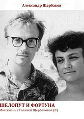 Александр Щербаков - Шелопут и фортуна