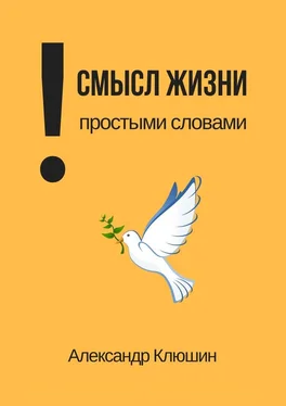 Александр Клюшин Смысл жизни простыми словами обложка книги