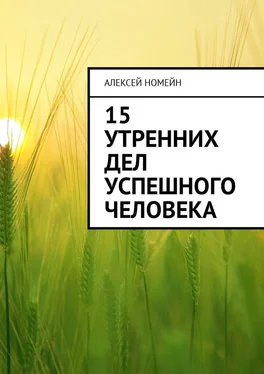 Алексей Номейн 15 утренних дел успешного человека обложка книги