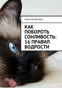 Алексей Мичман Как побороть сонливость: 16 правил бодрости обложка книги