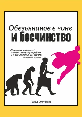 Павел Отставнов Обезьянинов в чине и бесчинство. Былинушка народная. Книга 1 обложка книги