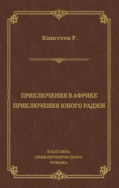 Уильям Кингстон Приключения в Африке. Приключения юного раджи (сборник) обложка книги