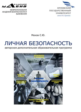 Станислав Махов Личная безопасность. Авторская дополнительная образовательная программа обложка книги