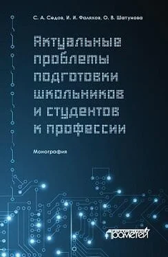 Ирек Фаляхов Актуальные проблемы подготовки школьников и студентов к профессии обложка книги