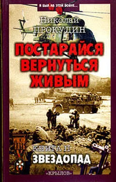 Николай Прокудин Звездопад обложка книги