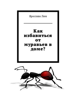 Ярослава Лим Как избавиться от муравьев в доме? обложка книги