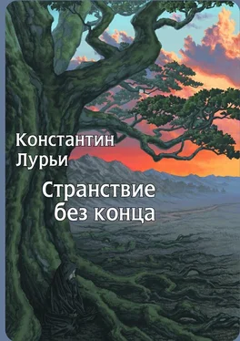 Константин Лурьи Странствие без конца обложка книги