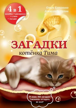 Александр Орлов Загадки котёнка Тима обложка книги