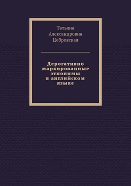 Татьяна Цебровская Дерогативно маркированные этнонимы в английском языке обложка книги
