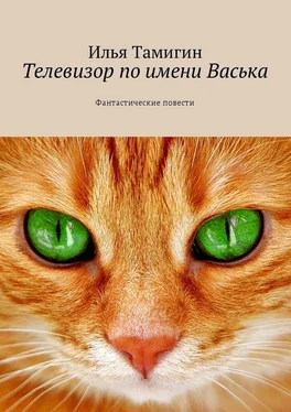 Илья Тамигин Телевизор по имени Васька. Фантастические повести обложка книги