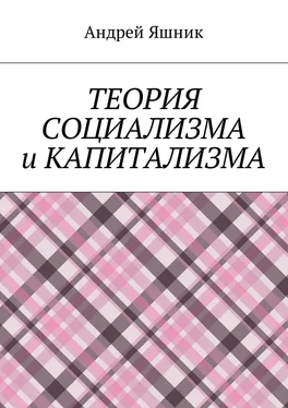 Андрей Яшник Теория социализма и капитализма обложка книги