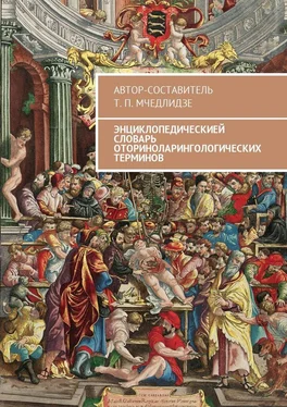 Тамаз Мчедлидзе Энциклопедическией словарь оториноларингологических терминов. Автор-составитель Т. П. Мчедлидзе обложка книги