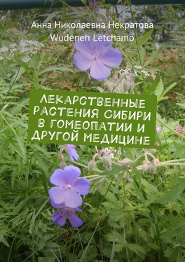 Анна Некратова Лекарственные растения Сибири в гомеопатии и другой медицине обложка книги