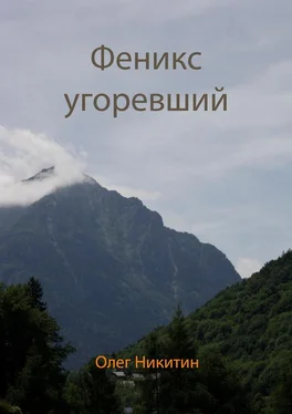 Олег Никитин Феникс угоревший обложка книги