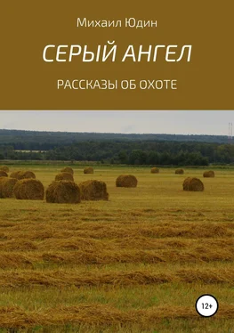 Михаил Юдин Серый Ангел обложка книги