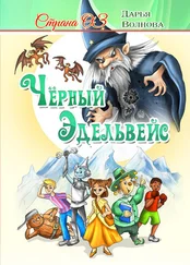 Дарья Волнова - Страна Оз - Чёрный Эдельвейс