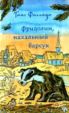 Ганс Фаллада Фридолин, нахальный барсук обложка книги