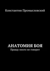 Константин Промысловский - Анатомия боя. Правду никто не говорит