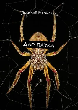 Дмитрий Марыскин Дао паука обложка книги