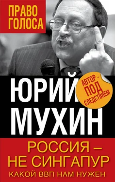 Юрий Мухин Россия — не Сингапур. Какой ВВП нам нужен обложка книги